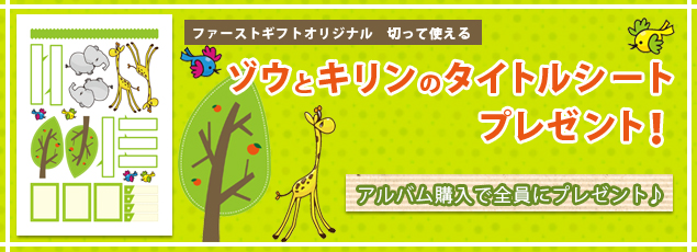 限定企画