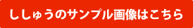 ししゅうのサンプル画像はこちら